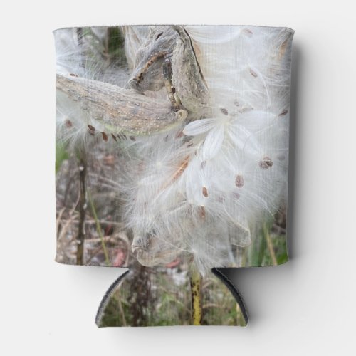 Open Milkweed Pods  Seeds with Silk  Can Cooler