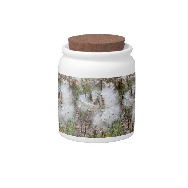Open Milkweed Pods | Seeds with Silk | Candy Jar (Front)