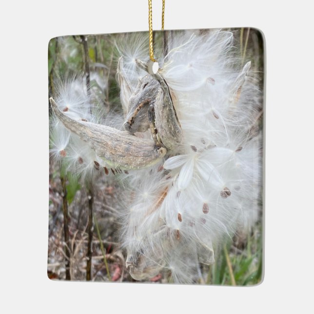 Open Milkweed Pods | Seeds with Silk | Ceramic Ornament (Left)
