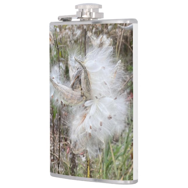 Open Milkweed Pods | Seeds with Silk | Flask (Left)