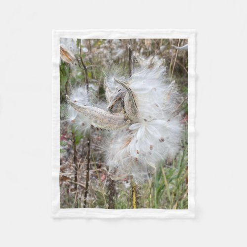 Open Milkweed Pods  Seeds with Silk  Fleece Blanket