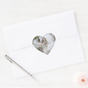 Open Milkweed Pods Seeds with Silk Heart Sticker