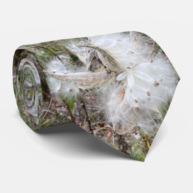 Open Milkweed Pods | Seeds with Silk | Neck Tie (Rolled)