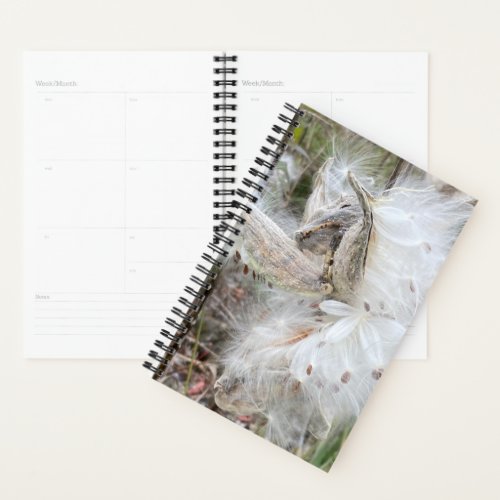 Open Milkweed Pods  Seeds with Silk  Planner