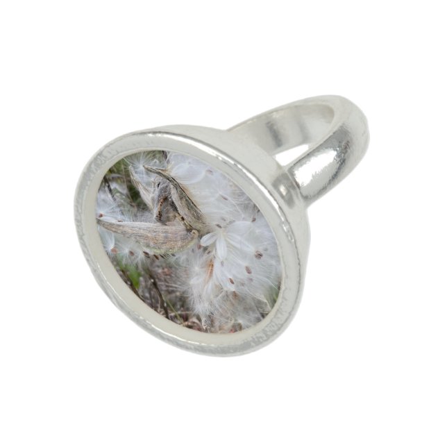 Open Milkweed Pods | Seeds with Silk | Ring (Top)