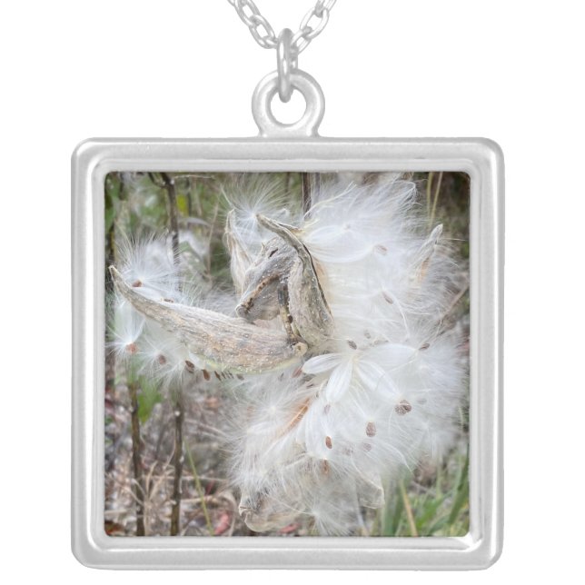 Open Milkweed Pods | Seeds with Silk | Silver Plated Necklace (Front)