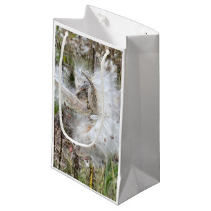 Open Milkweed Pods Seeds with Silk Small Gift Bag