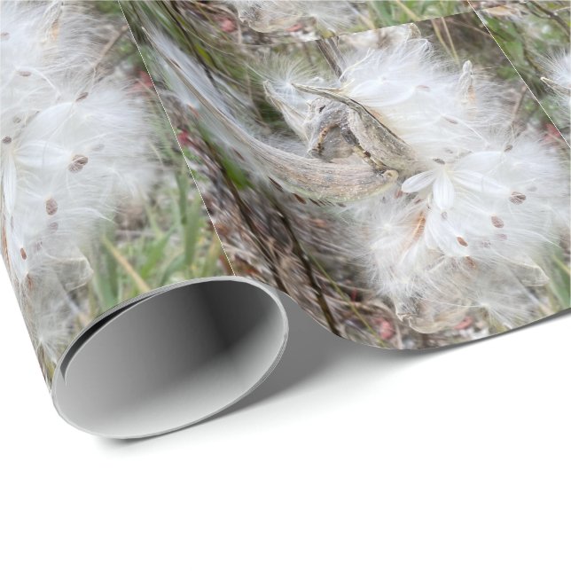 Open Milkweed Pods | Seeds with Silk | Wrapping Paper (Roll Corner)