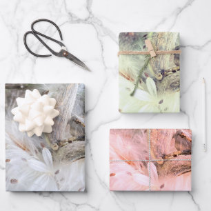 Open Milkweed Pods Seeds with Silk Wrapping Paper Sheets