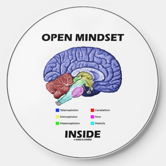 Open Mindset Inside Anatomical Brain Wireless Charger