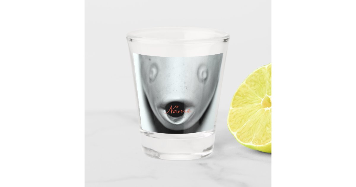 Open Mouth Fish Face Thunder_Cove Shot Glass
