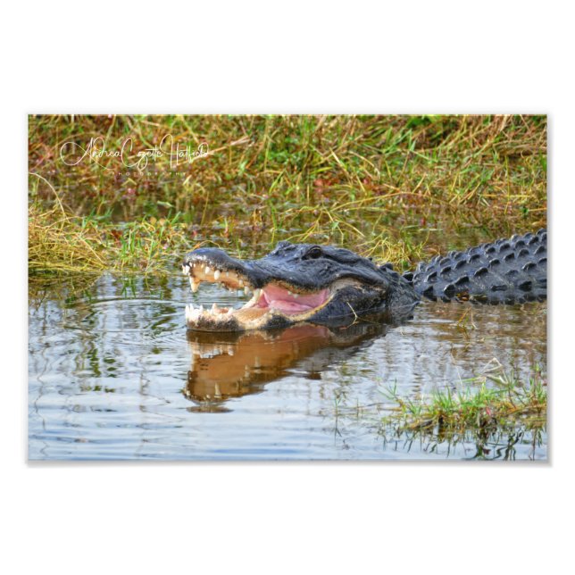 Open Mouth Photo Print (Front)