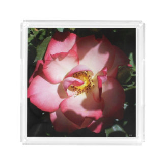Open Pink Rose Acrylic Tray