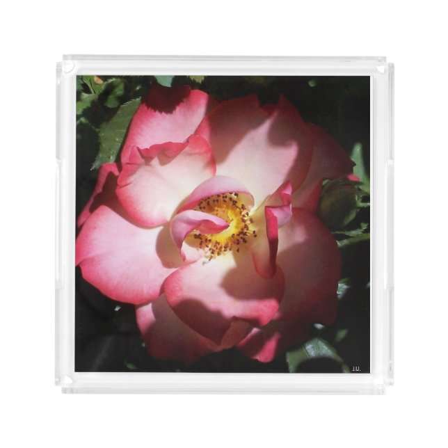 Open Pink Rose Acrylic Tray (Front)