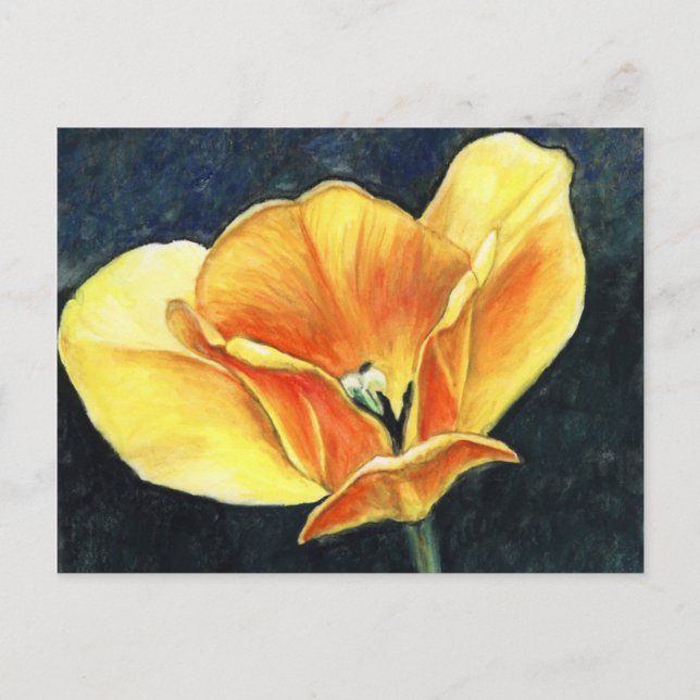 Open Tulip Art Flower Art Reproduction Postcard (Front)