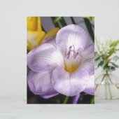 open violet freesia (Standing Front)