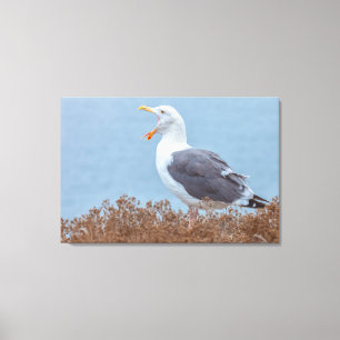 Open Wide Canvas Print