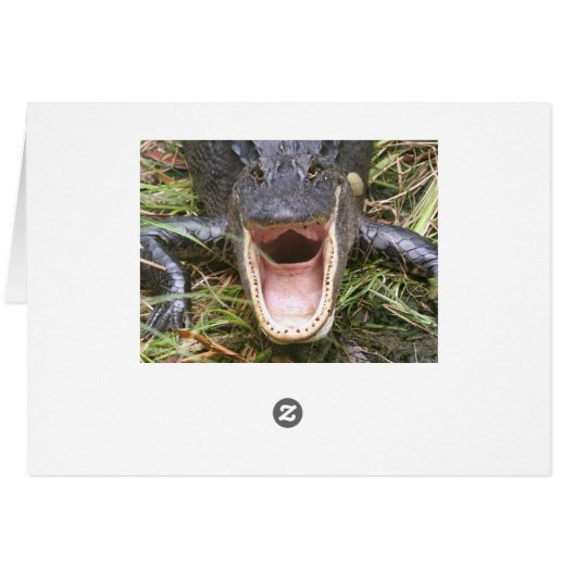 Open Wide! Florida Alligator (Back Horizontal)