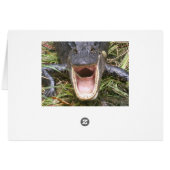 Open Wide! Florida Alligator Cards (Back Horizontal)