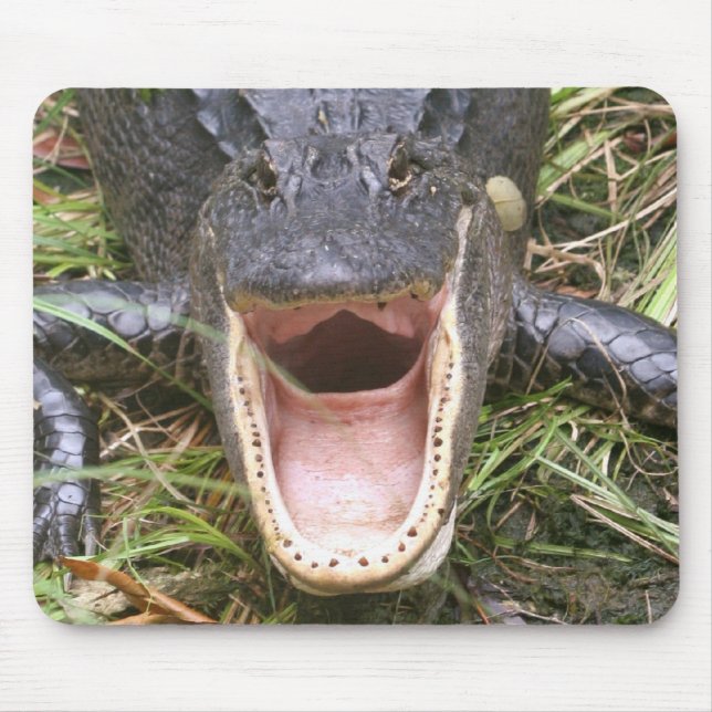 Open Wide! Florida Alligator Mouse Pad (Front)