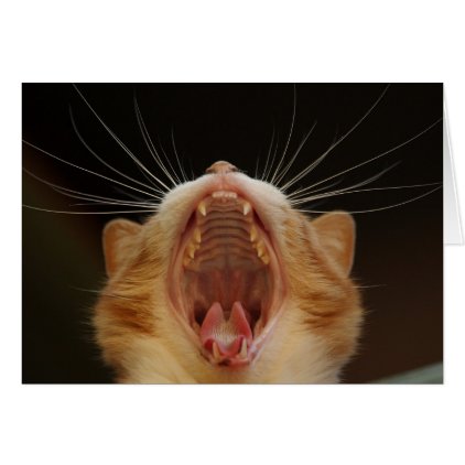 Open Wide Kitty Yawning Card