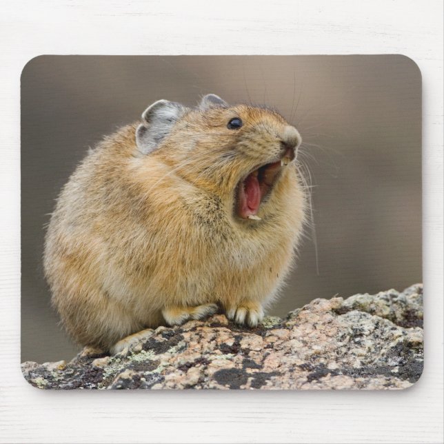 Open Wide Mouse Pad (Front)