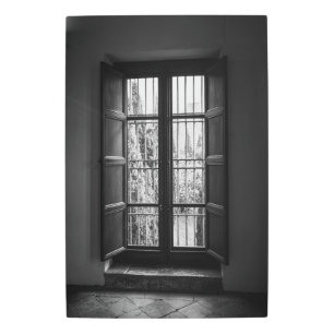 Open Window View in Black and White Metal Print