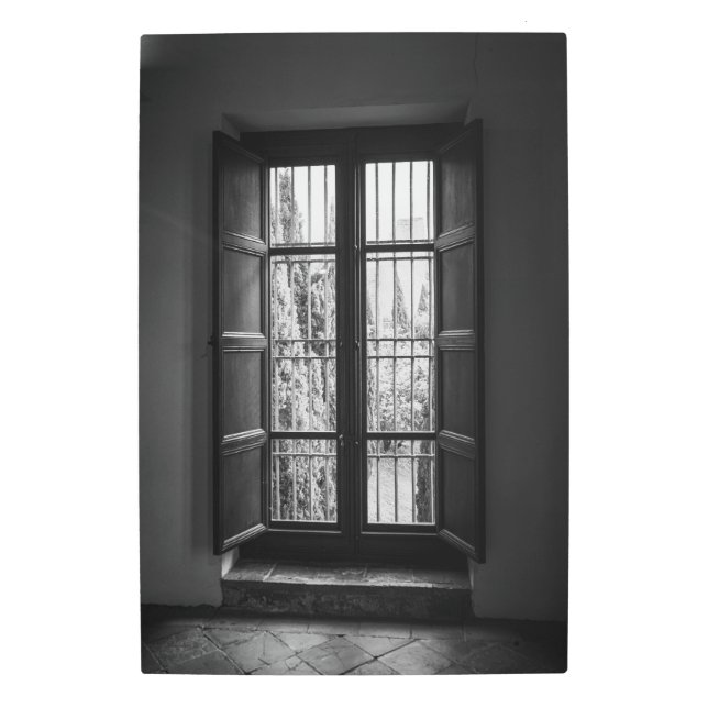 Open Window View in Black and White Metal Print (Front)