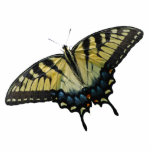 Open Wings Statuette<br><div class="desc">This unique photo sculpture pin features a yellow and black eastern tiger swallowtail butterfly.</div>