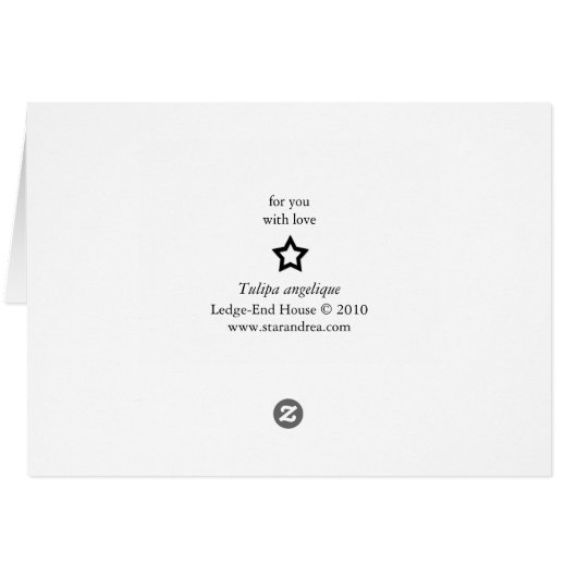 open your mind cards (Back Horizontal)