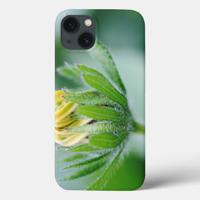 Opening Flower Of Cone Flower Case-Mate iPhone Case (Back)