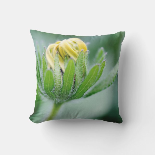 Opening Flower Of Cone Flower Throw Pillow (Front)