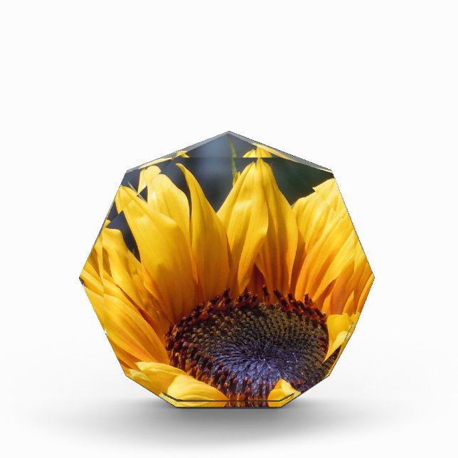 Opening Sunflower Award (Front)