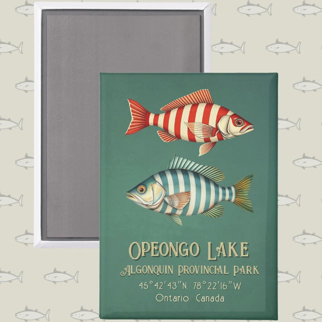 Opeongo Lake Algonquin Provincial Park Ontario  Magnet (Creator Uploaded)