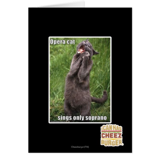 Opera Cat Cards (Front)