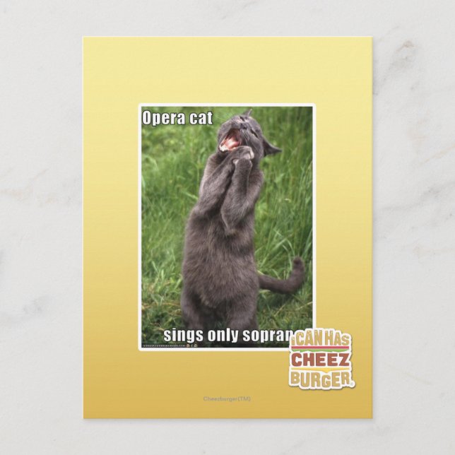 Opera Cat Postcard (Front)