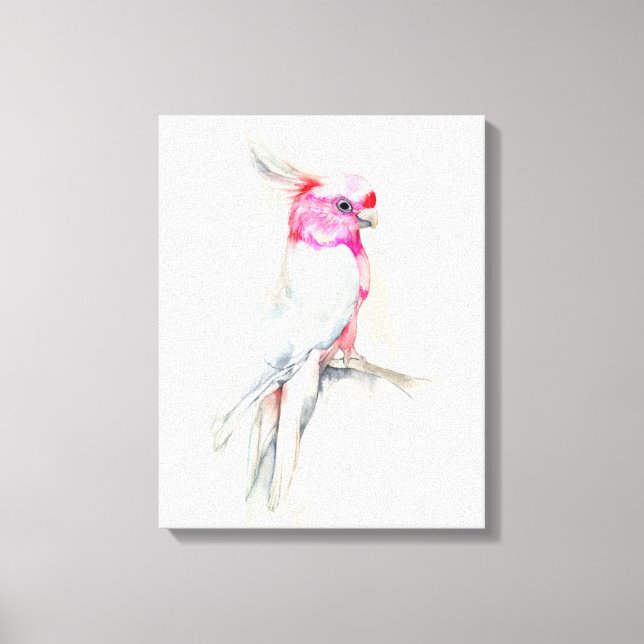 Opera Cockatoo Canvas Print (Front)