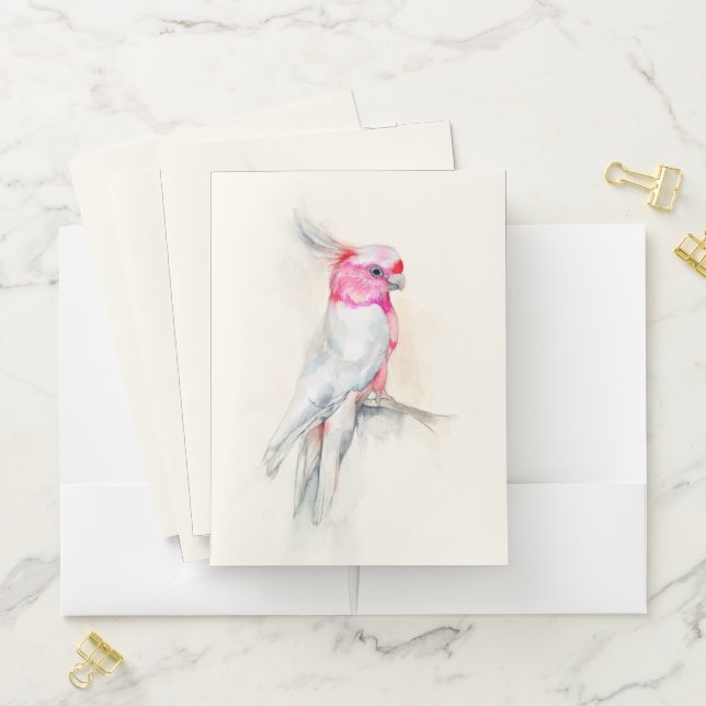 Opera Cockatoo Pocket Folder (In Situ)
