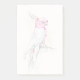 Opera Cockatoo Post-it Notes