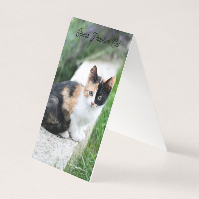 Opera Phantom Cat (Back)