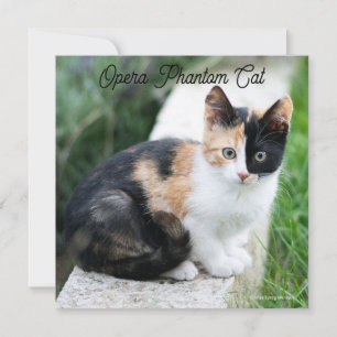 Opera Phantom Cat Card