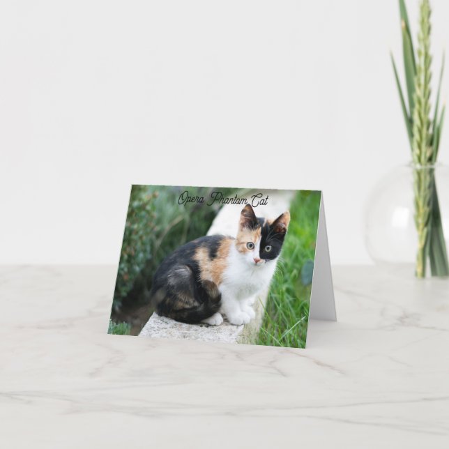 Opera Phantom Cat Card (Front)