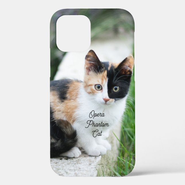 Opera Phantom Cat Case-Mate iPhone Case (Back)