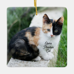 Opera Phantom Cat Ceramic Ornament