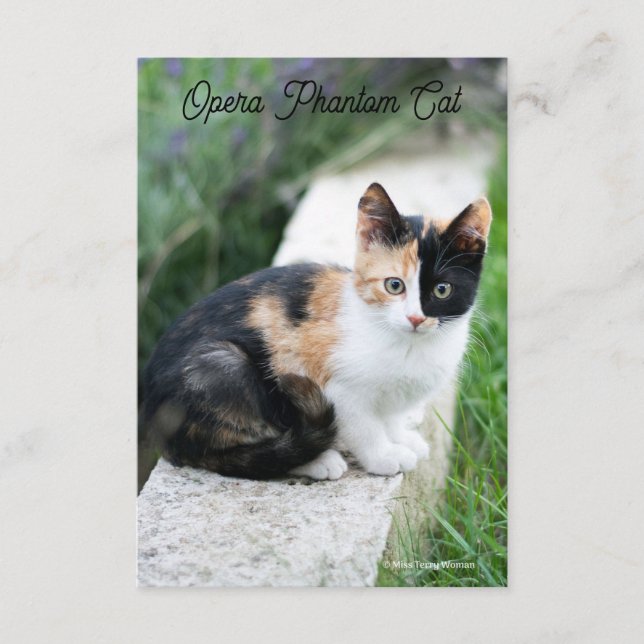 Opera Phantom Cat Enclosure Card (Front)