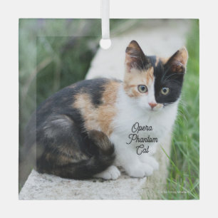 Opera Phantom Cat Glass Ornament