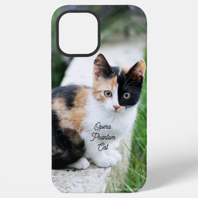 Opera Phantom Cat Iphone Case (Back)