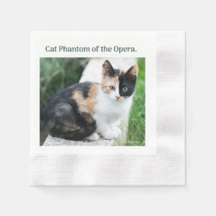 Opera Phantom Cat Napkins