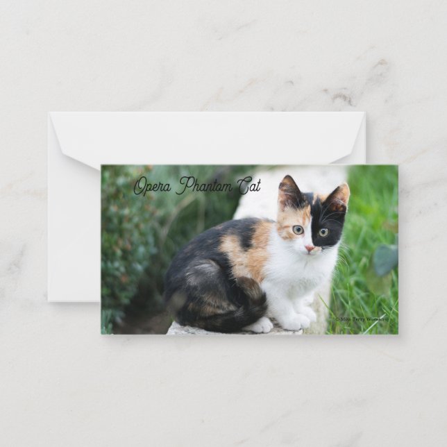 Opera Phantom Cat Note Card (Front)