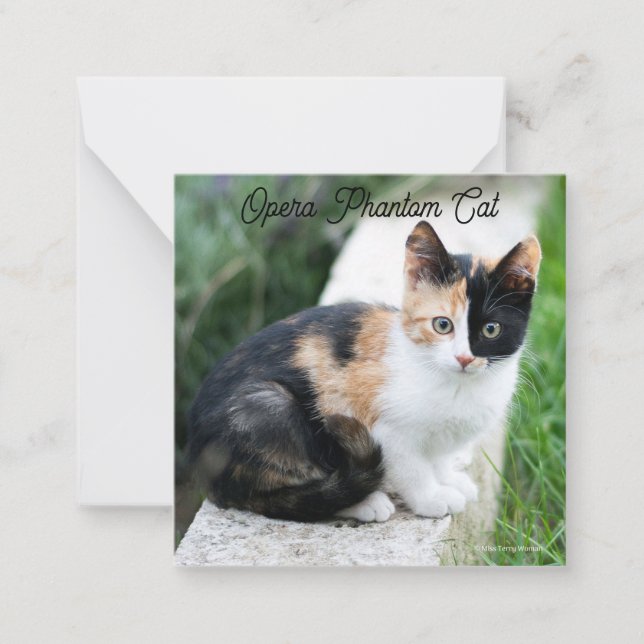 Opera Phantom Cat Note Card (Front)